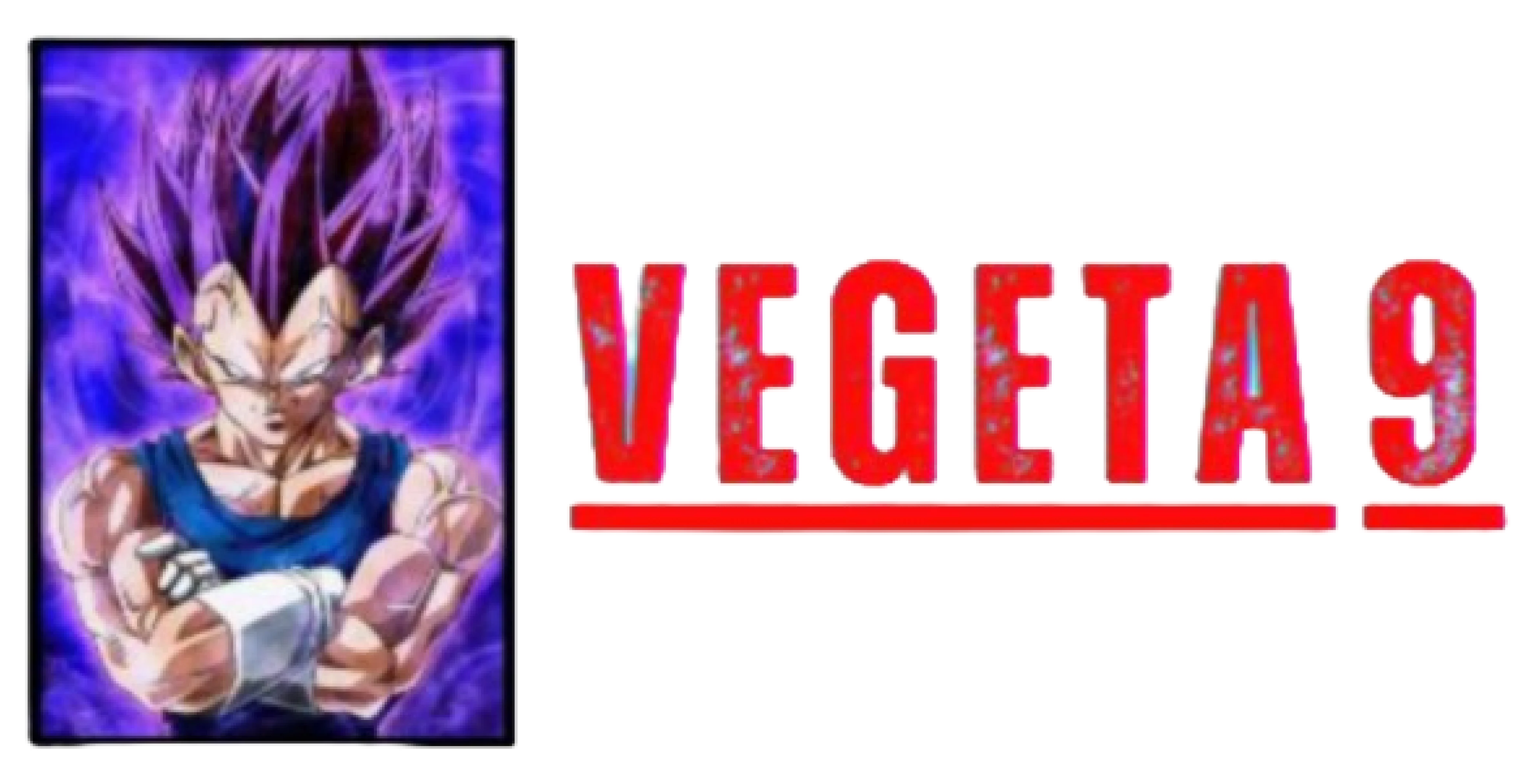 logo VEGETA9